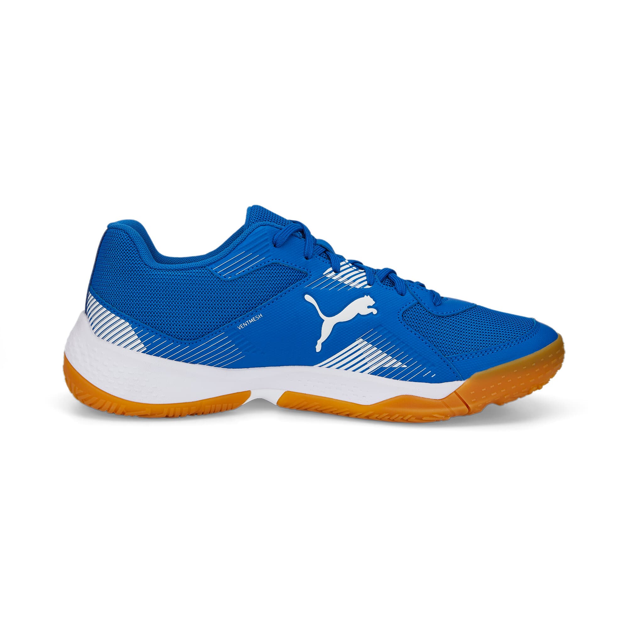 Solarflash II Indoor Sports Shoes