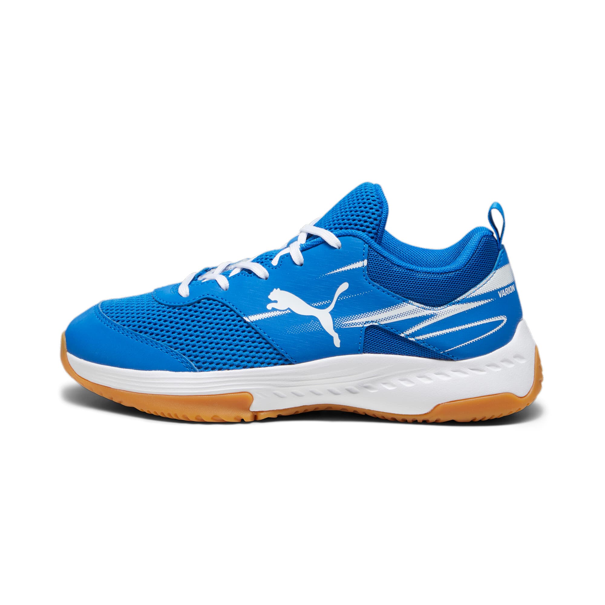 Varion II Indoor Sports Shoes Kids