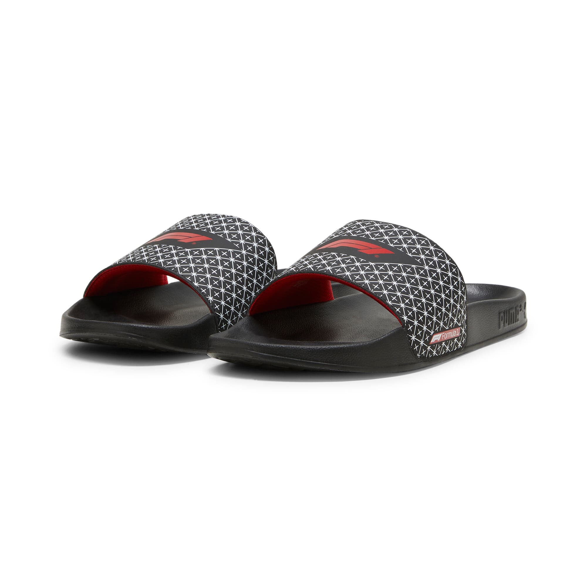 F1® Leadcat 2.0 Slides