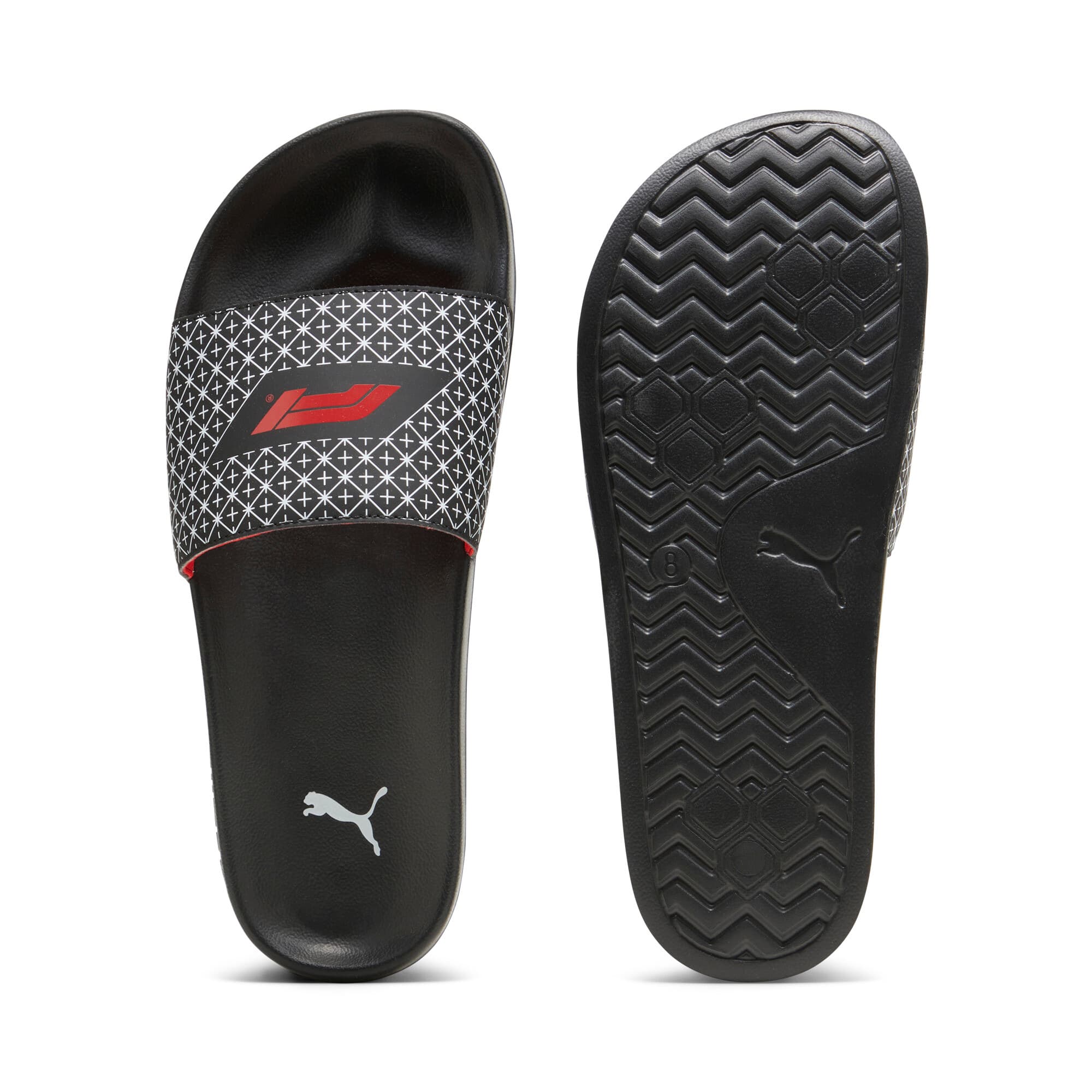 F1® Leadcat 2.0 Slides