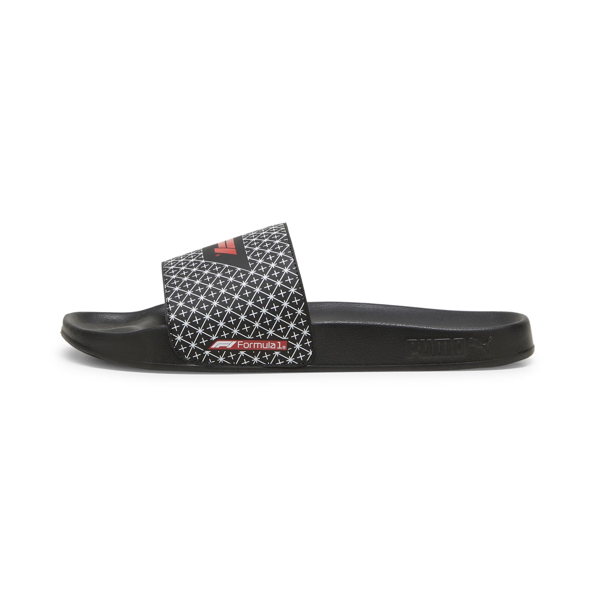 F1® Leadcat 2.0 Slides
