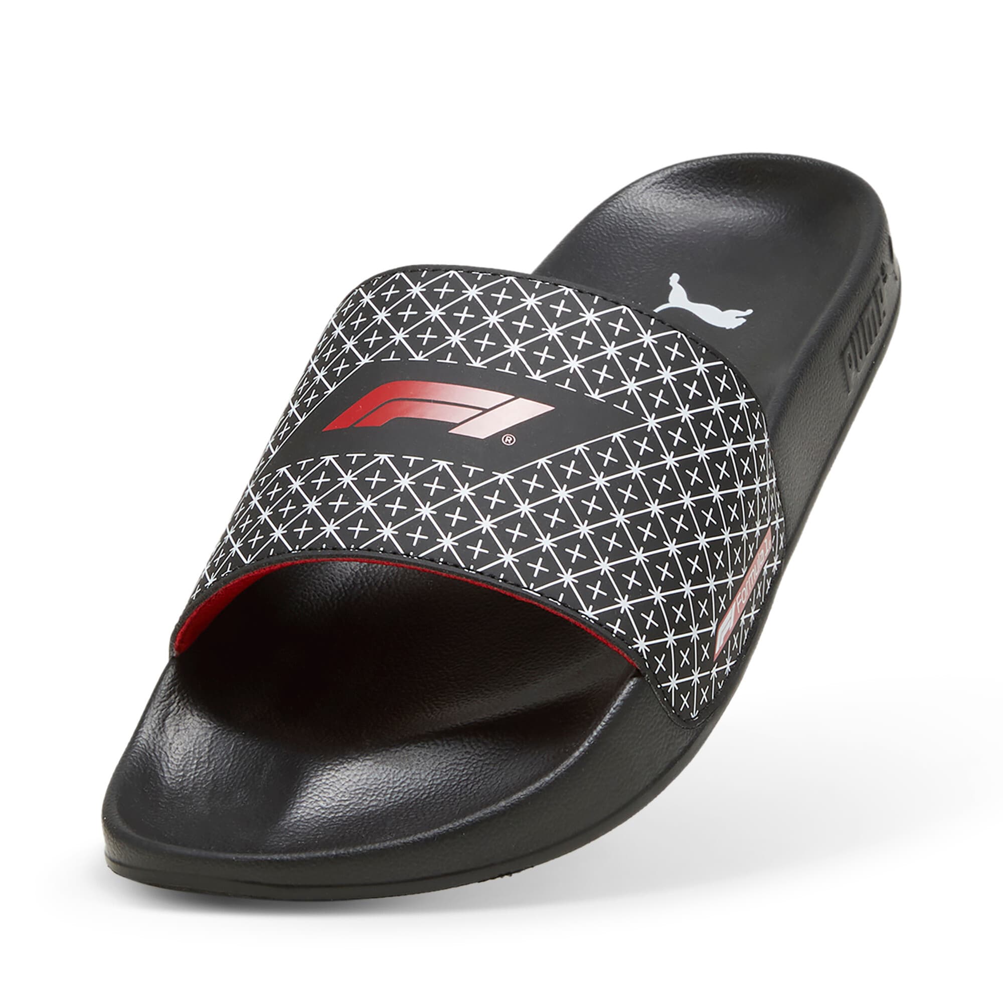 F1® Leadcat 2.0 Slides