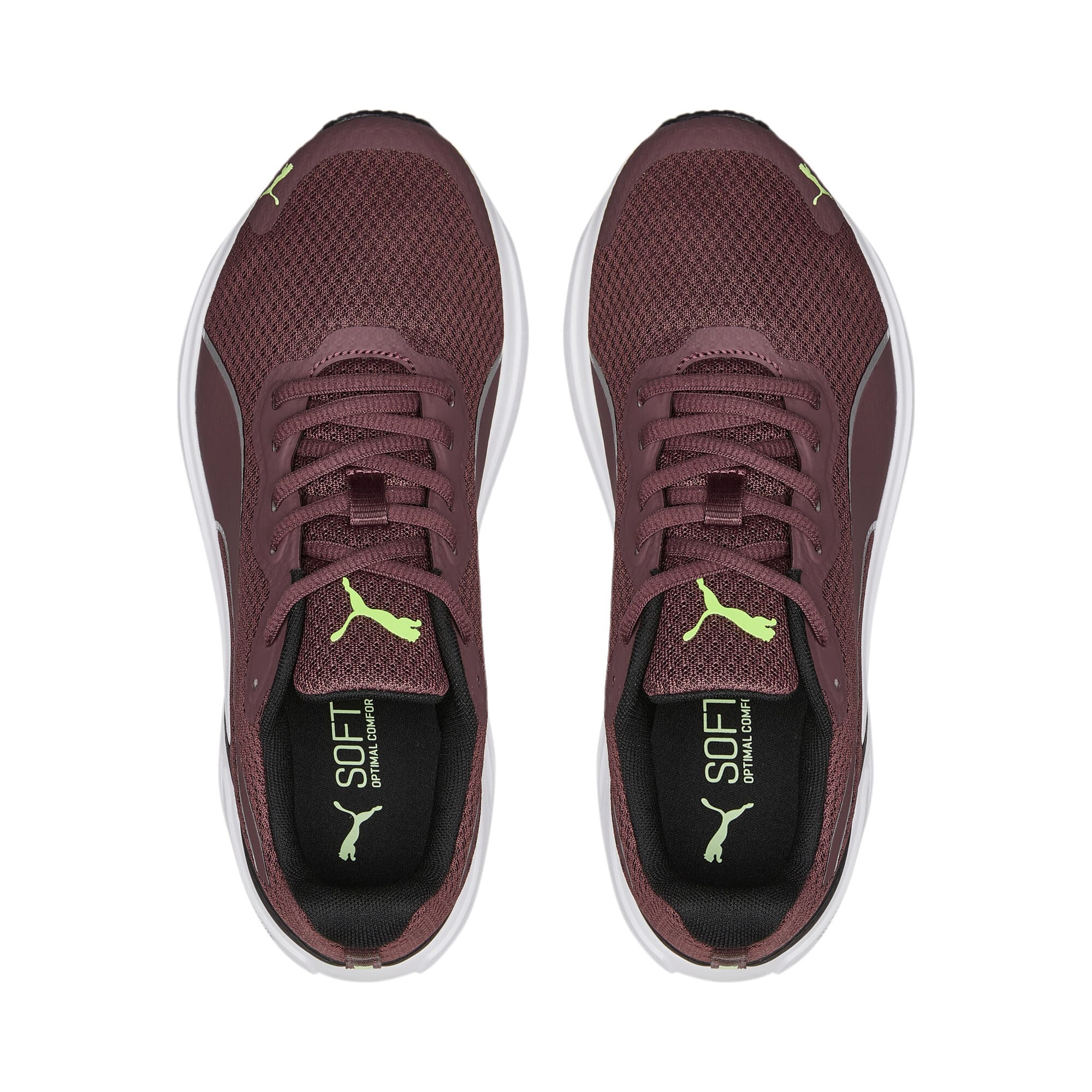 Feline ProFoam Women's Running Shoes