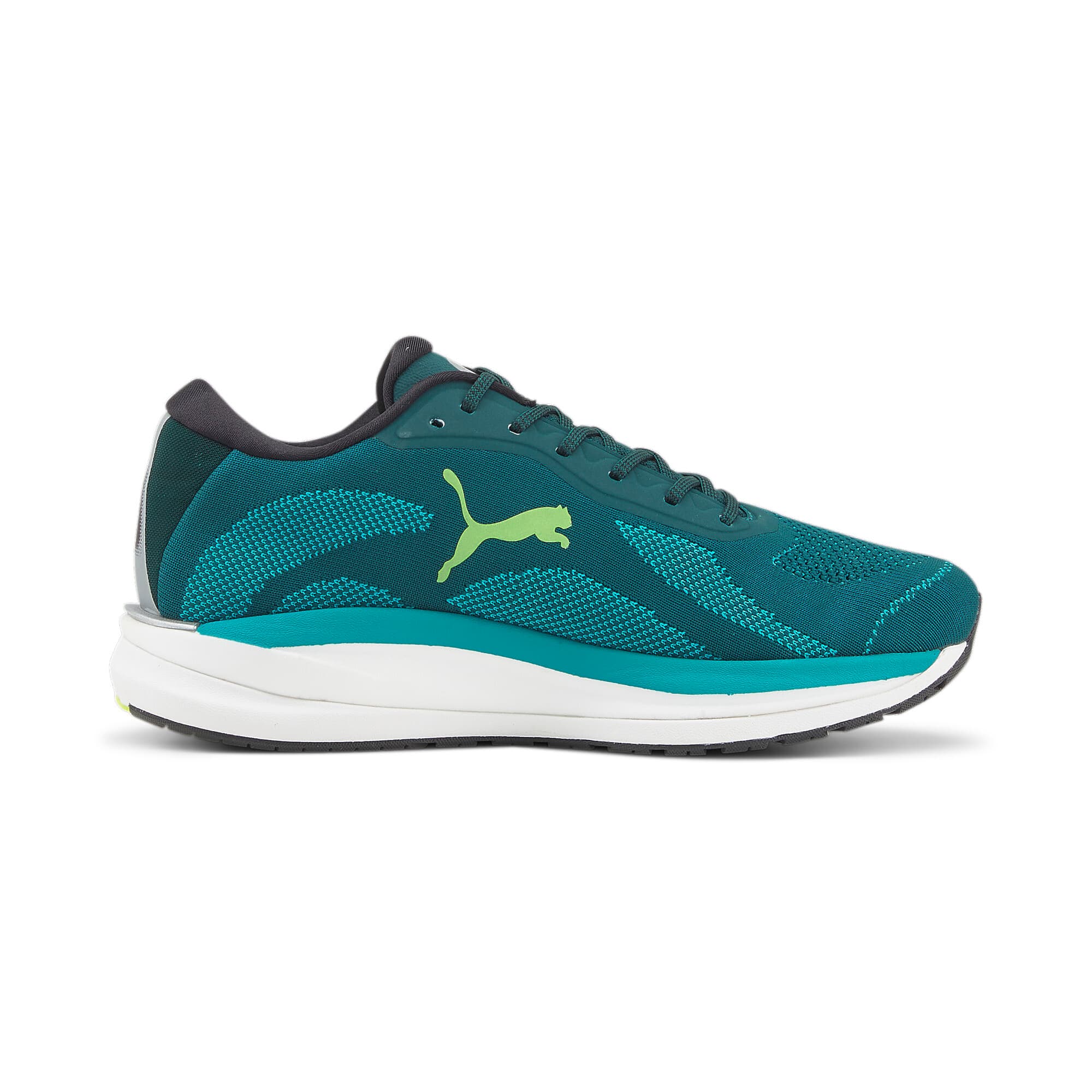 Magnify NITRO Knit Men's Running Shoes