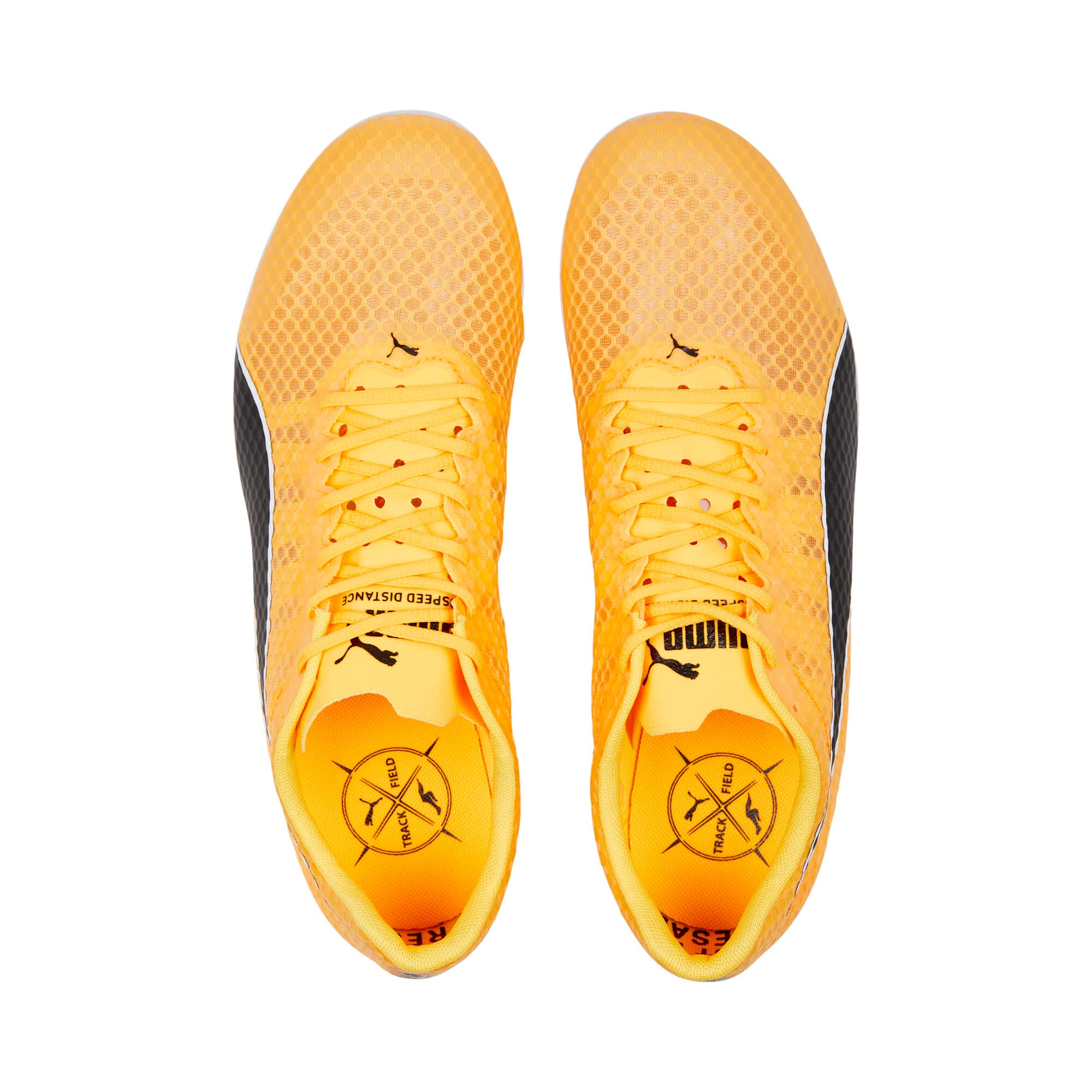 evoSPEED Distance 11 Track and Field Shoes Men