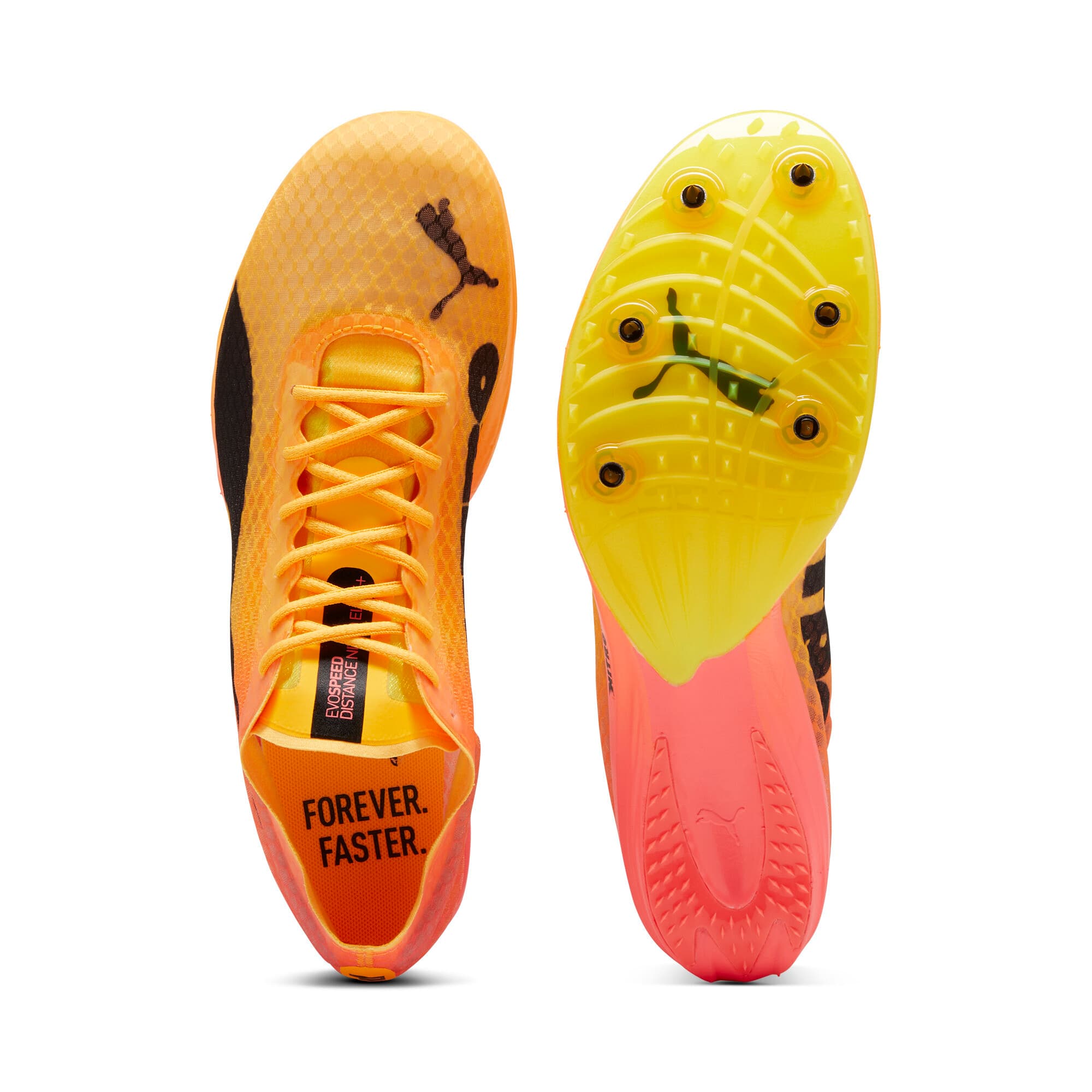 evoSPEED Distance NITRO™ Elite+ 4
