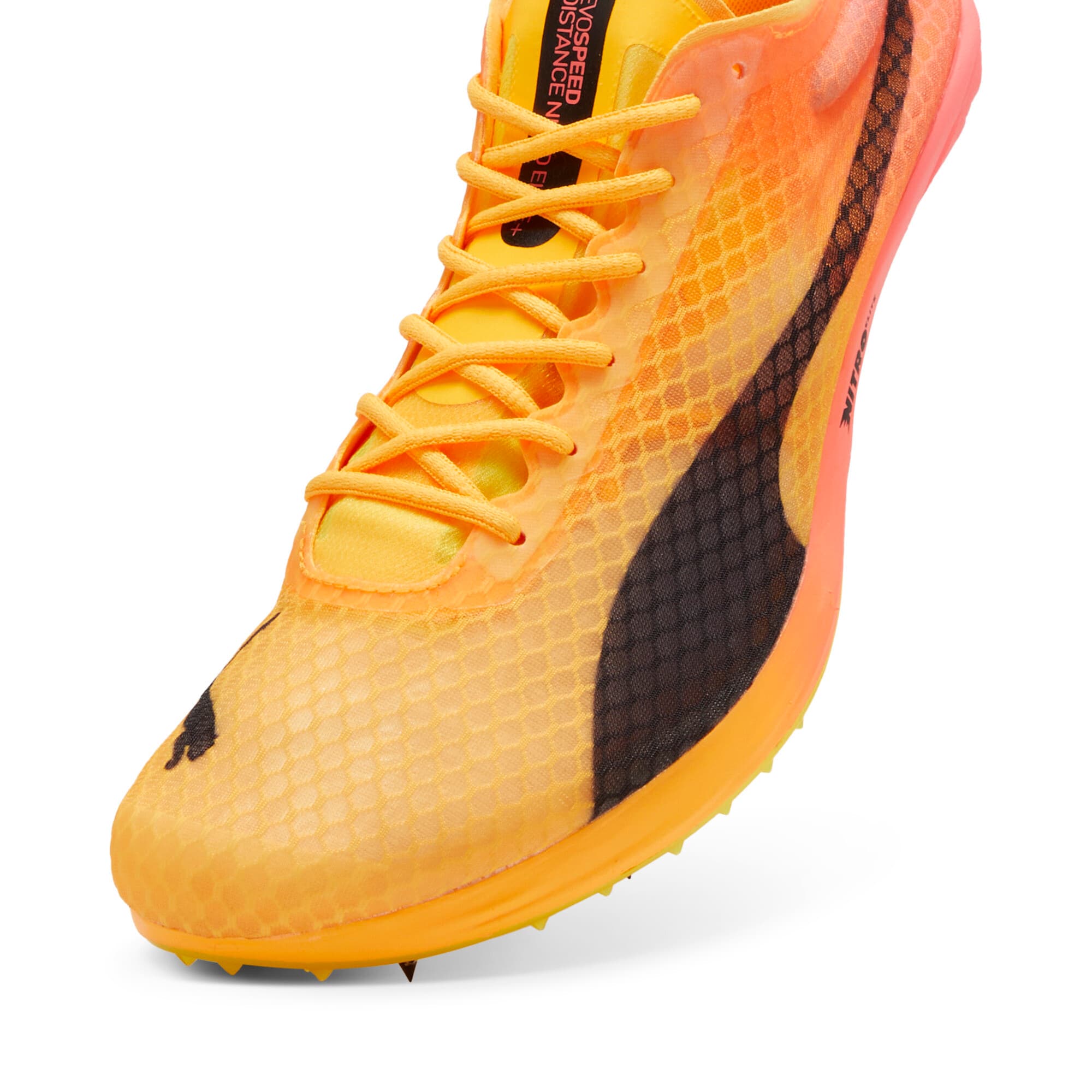 evoSPEED Distance NITRO™ Elite+ 4