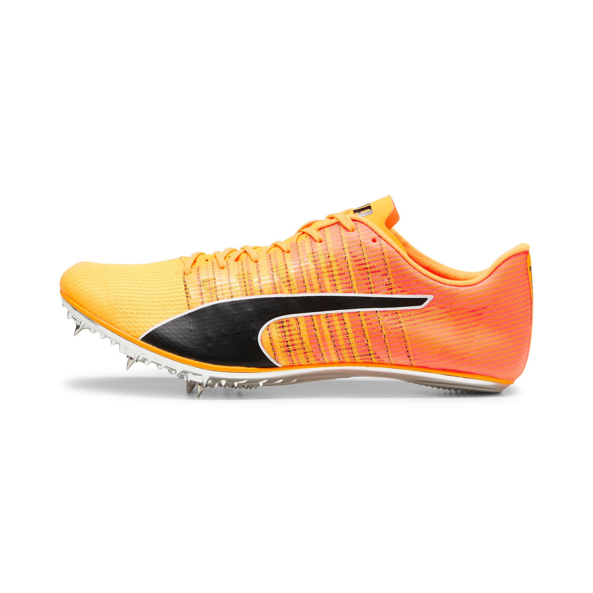 evoSPEED BRUSH 6 Track & Field Unisex Shoes