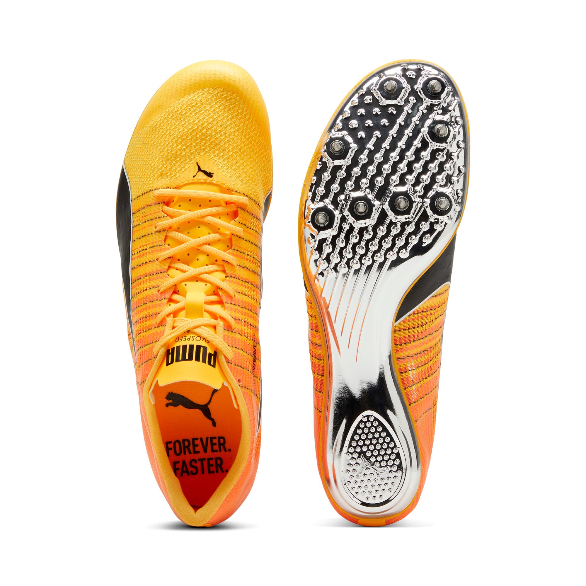 evoSPEED BRUSH 6 Track & Field Unisex Shoes
