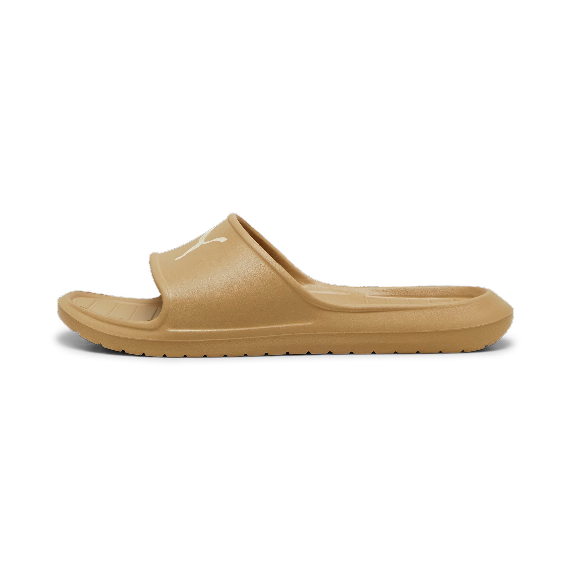 Divecat V2 Lite Slides