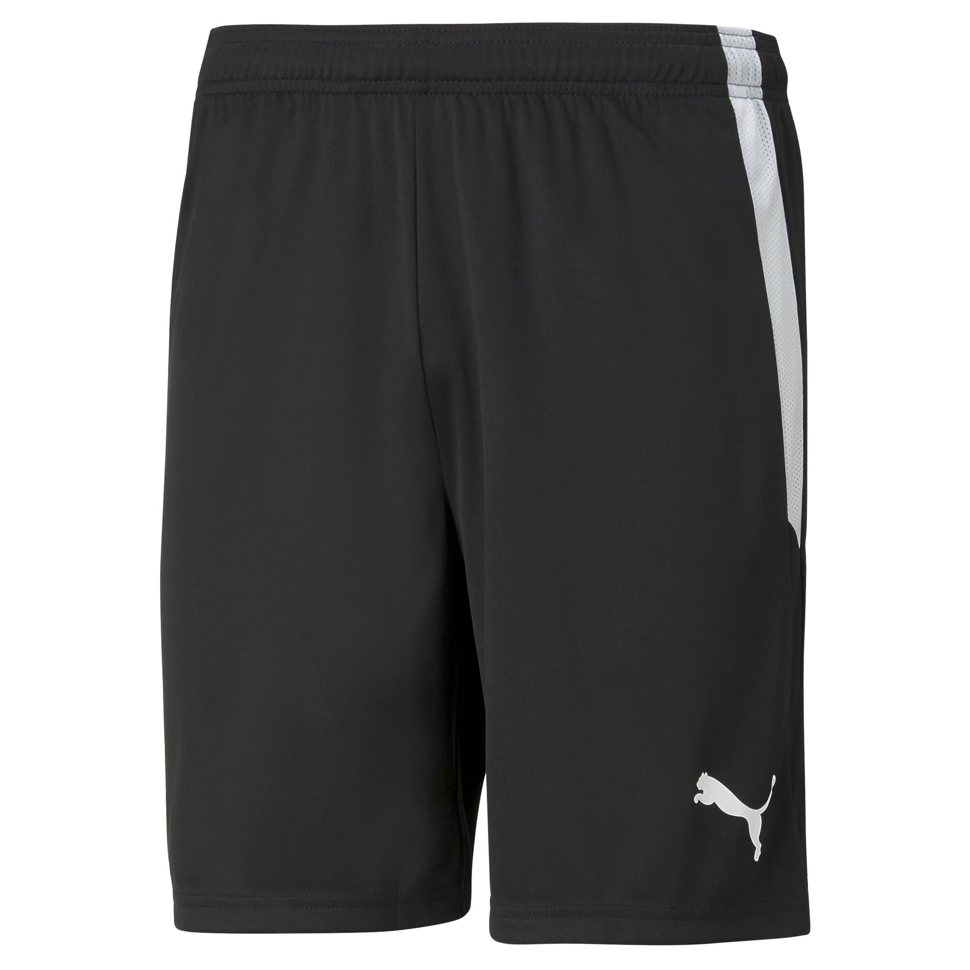 teamLIGA Football Shorts Men
